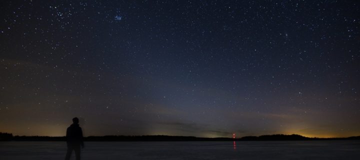 Eläinratavalo, kevätiltojen erikoisuus