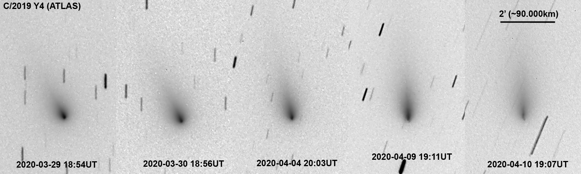 C/2019 Y4 (ATLAS), 29.03.-10.04.20, Ryske