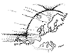 [EHP]