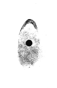 31.5. T. Öhman 31.5. T. Öhman